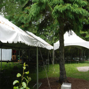 30' x 60' Frame Style Tents