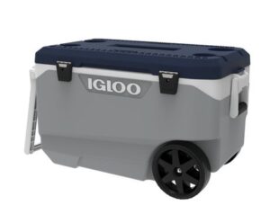 IGLOO COOLER (SMALL)